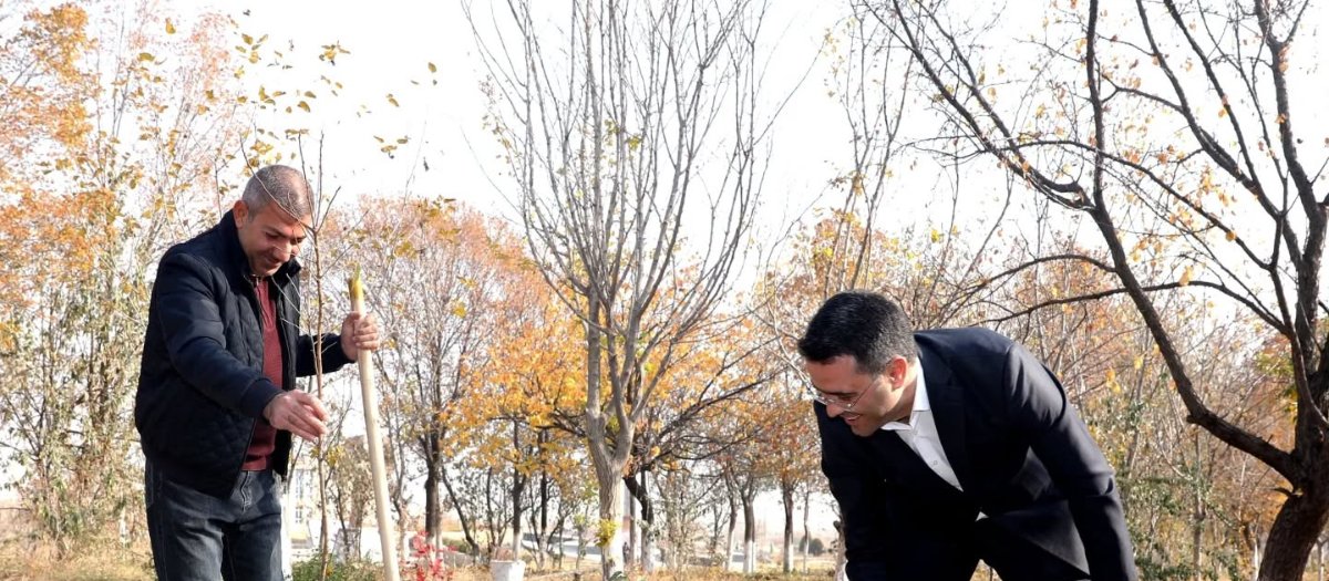 Maliyyə Nazirliyi kollektivinin iştirakı ilə ağacəkmə aksiyası keçirilib